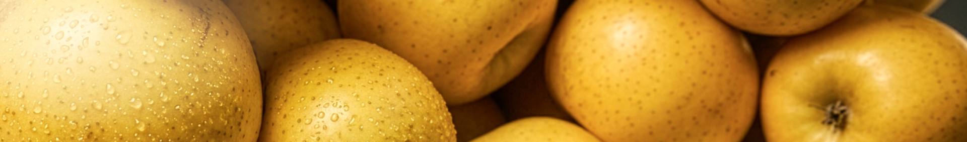pomme bien juteuses ramassées au Vergers Lasserres à Lahontan
