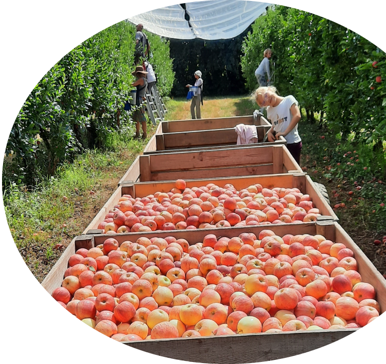 porte du bâtiment où sont vendu les pommes direct producteur à Peyrehorade