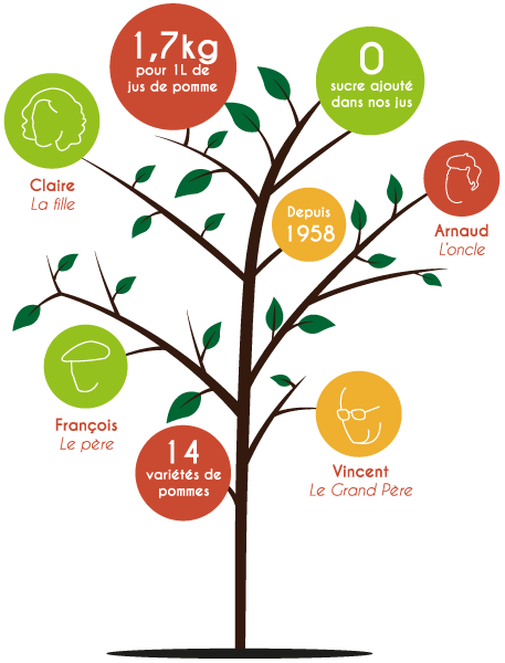 Pommes en direct du producteur près de Peyrehorade : arbre familial des Vergers Lasserre, producteurs depuis 1958, avec 14 variétés cultivées.